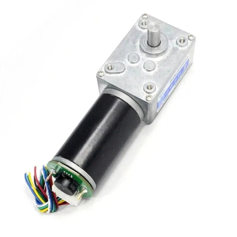High Torque 12v DC Motor 24V Electric Motor Worm gear motor With Encoder - electrical center b2c