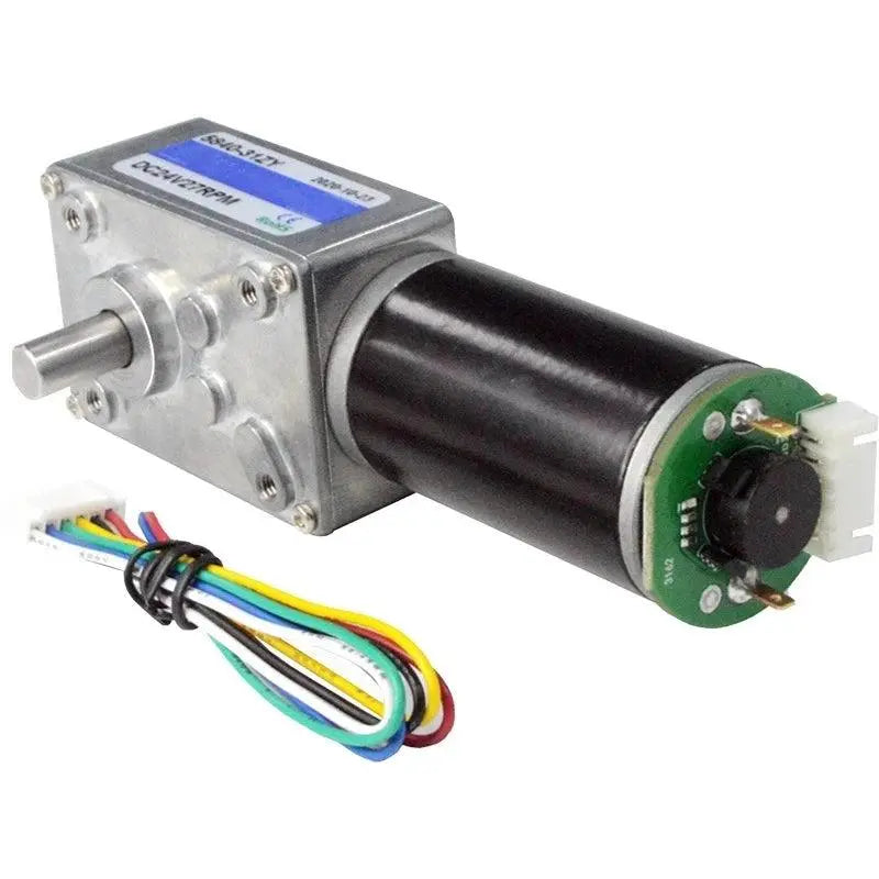 High Torque 12v DC Motor 24V Electric Motor Worm gear motor With Encoder - electrical center b2c