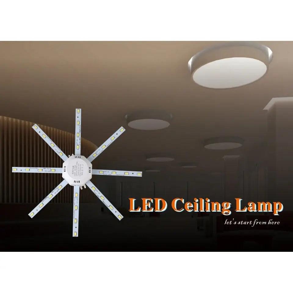 LATTUSO- LED Ceiling Lamp Octopus Light| 12W-24W Cold/Warm light optional - electrical center b2c