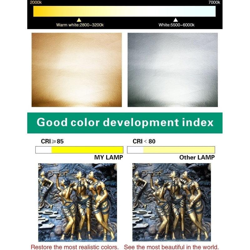 LATTUSO- 10pcs/lot COB Chip| 10W-50W Cold/Warm light optional.