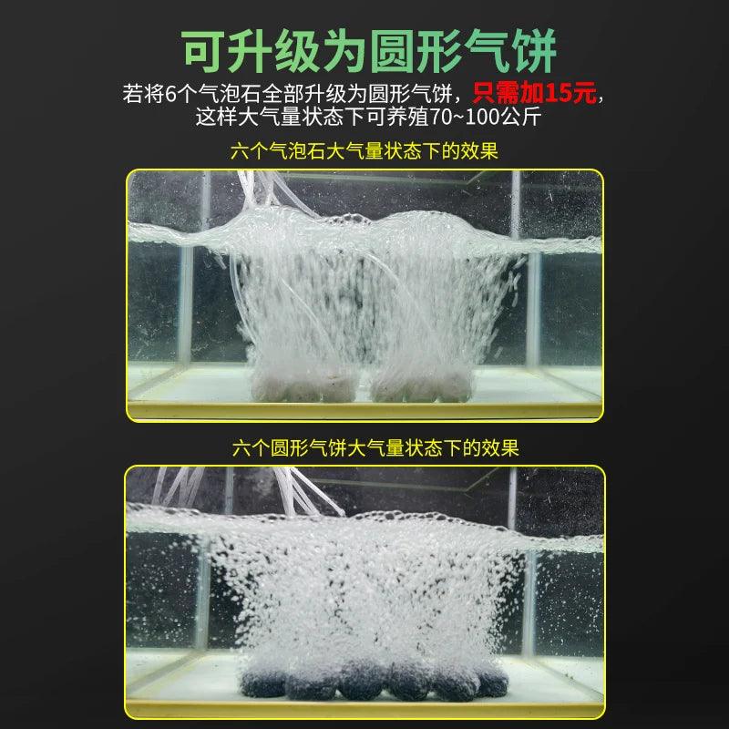 DC 12V Oxygen Increasing Pump Car Cigarette Lighter Outdoor Power PWM Volume AC 220V To DC12V Oxygen Generator Fish Air Pomp