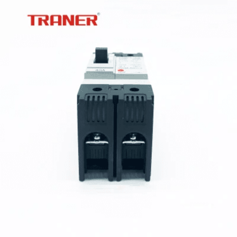 63a mccb,double pole main switch，2pole mccb,mccb 2p，main breaker switch